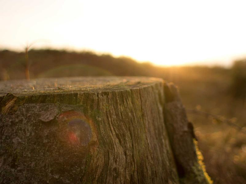 sudoku evening relaxation screenshot 3